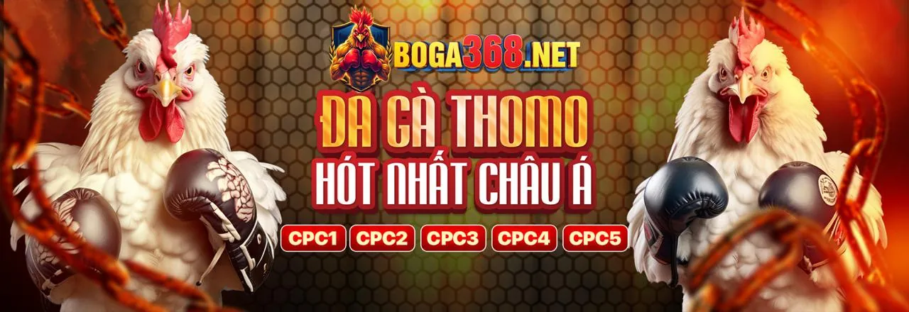 Sân đấu đá gà trực tuyến sôi động tại winwin01 code