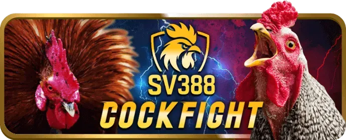 Ưu đãi chào mừng thành viên mới winwin01 code